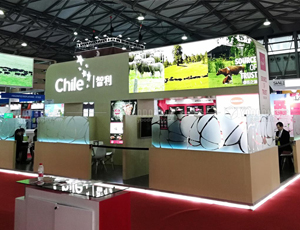 展會設(shè)計搭建